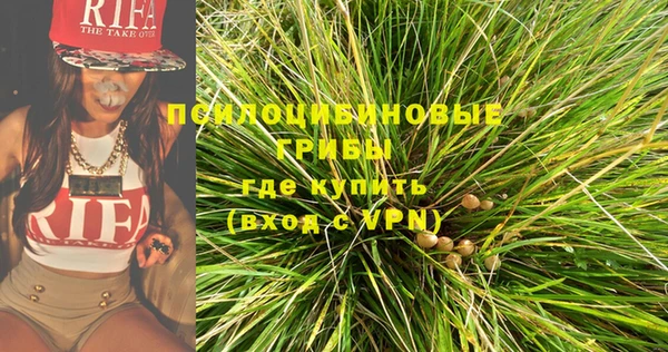 твердый Алзамай